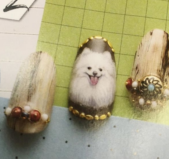 14 Nail Art Ideas For Pomeranian Lovers PetPress