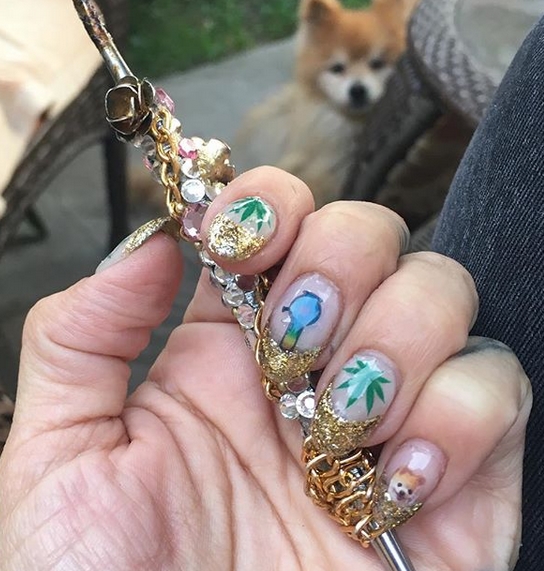 14 Nail Art Ideas For Pomeranian Lovers PetPress