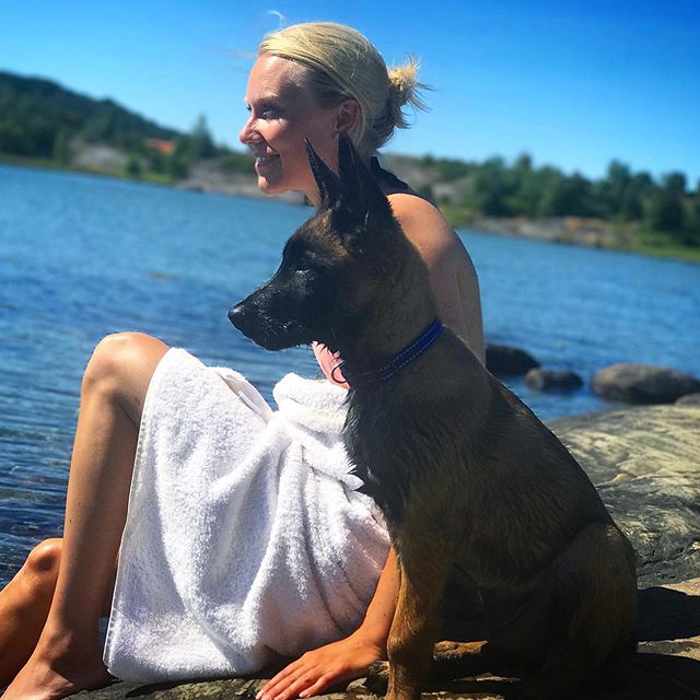 15 Interesting Facts You Didn’t Know About the Belgian Malinois | Page