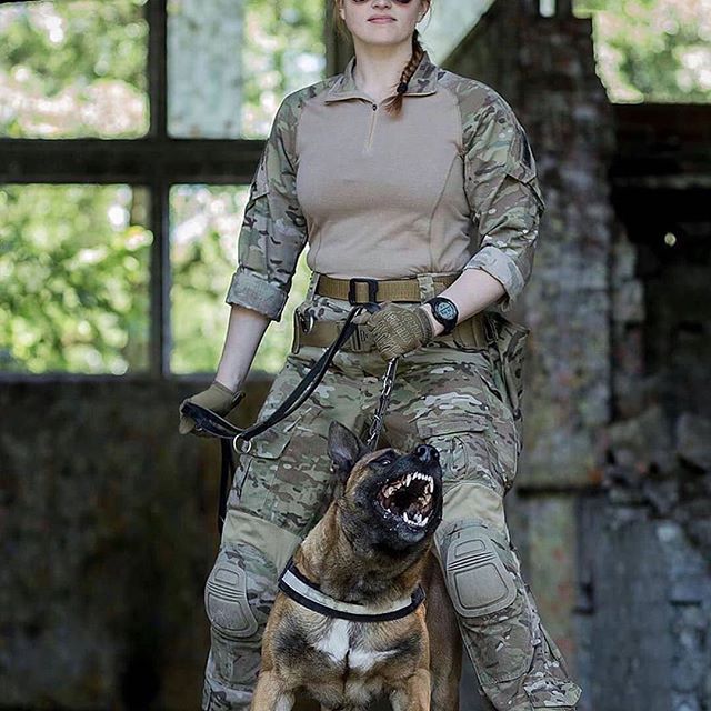 14 Facts About Belgian Malinois And Why We Love Them PetPress