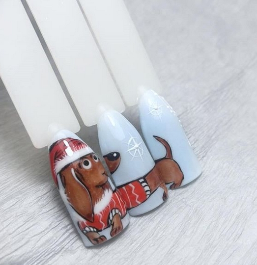14 Best Nail Arts For Dachshund Lovers PetPress