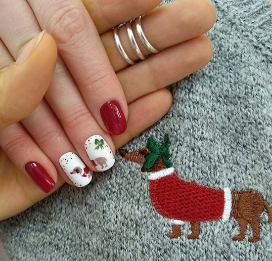 14 Best Nail Arts For Dachshund Lovers PetPress