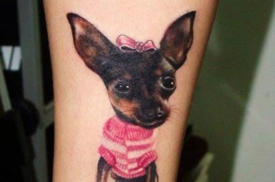 14 Of The Best Chihuahua Tattoo Ideas Ever - PetPress