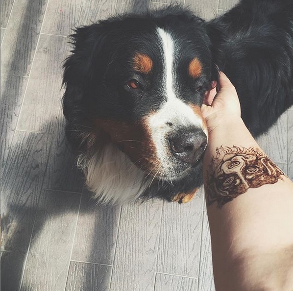 14 Amazing Tattoo Ideas For Bernese Mountain Dog Lovers Page 3 of 3