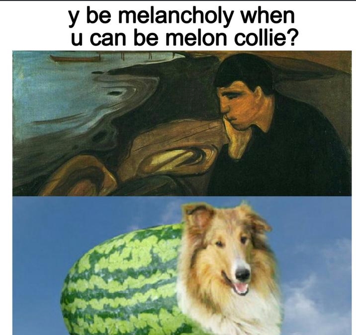 15 Funny Collie Memes That Will Make You Smile! Page 2 of 3 PetPress