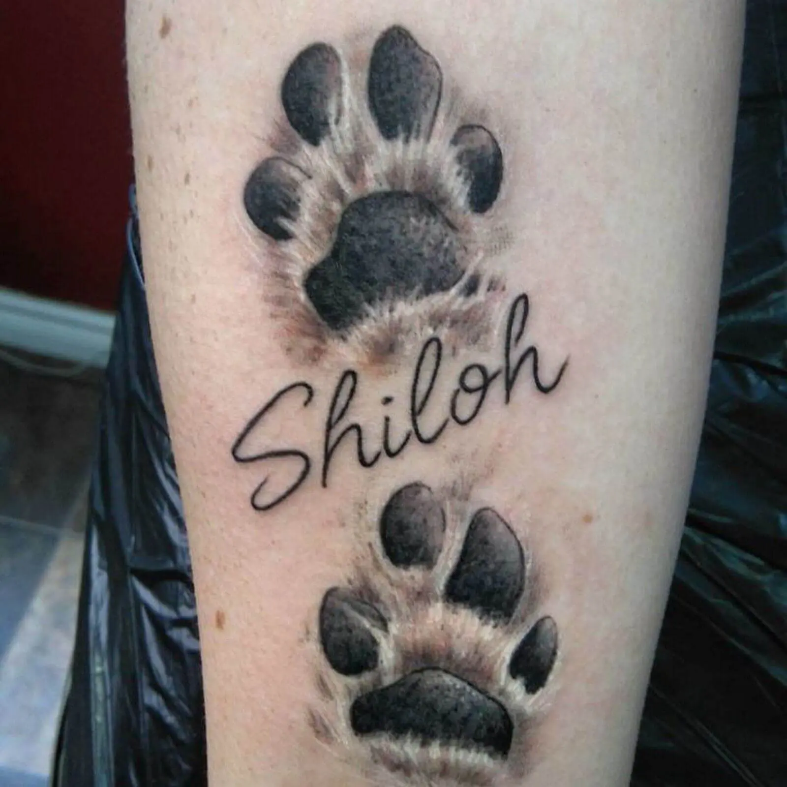 30 Dog Paw Tattoo Ideas For Men And Women Petpress