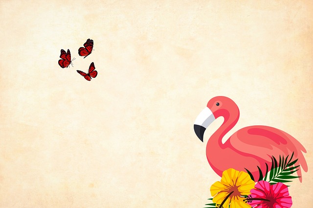 cartoon-flamingo-names