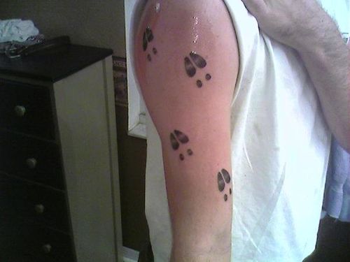 10+ Deer Track Tattoos Ideas | PetPress