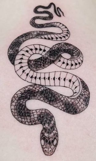 12+ Best Corn Snake Tattoo Designs | PetPress