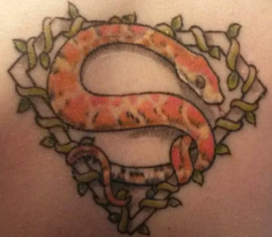 12+ Best Corn Snake Tattoo Designs | PetPress