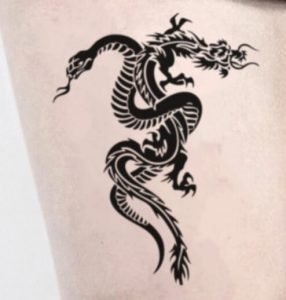 12 Dragon & Snake Tattoo Designs - PetPress