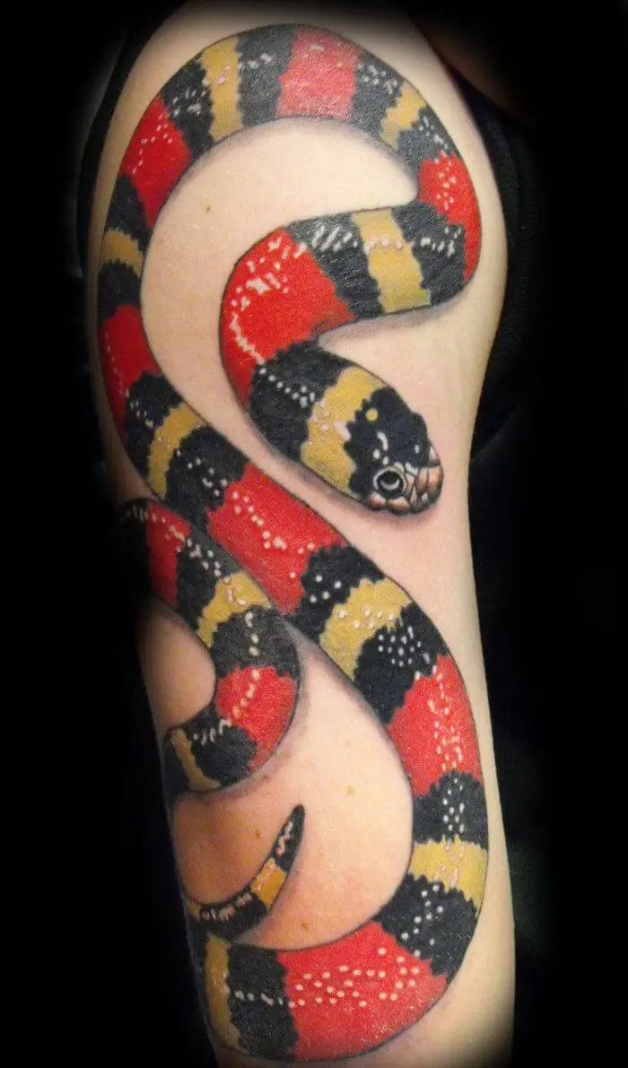 Top 14 Coral Snake Tattoo Ideas That Are Look So Cool For You