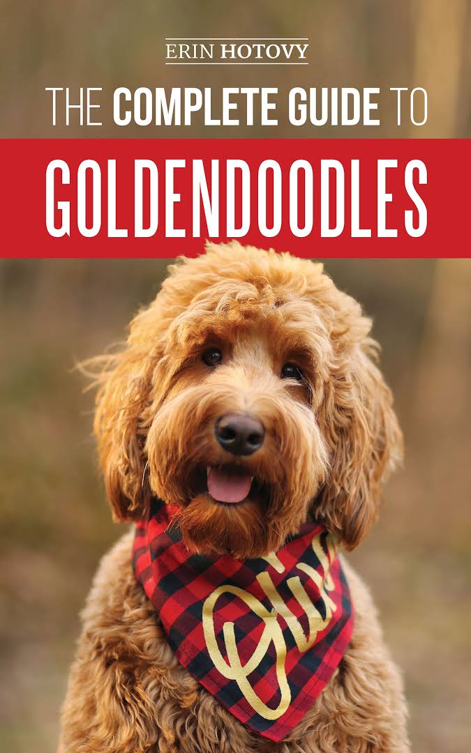 15 Must Read Books For Goldendoodle Lovers PetPress
