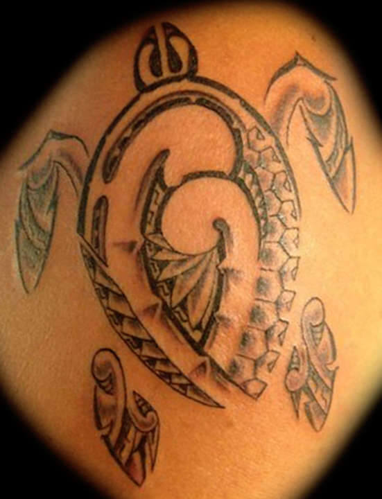 21 Polynesian Turtle Tattoo Ideas, Designs, & Meanings PetPress