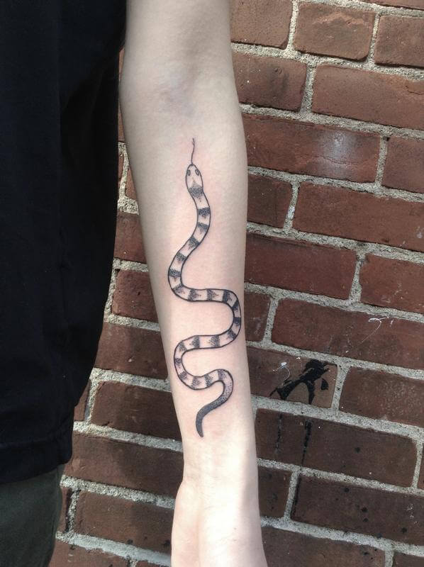 22 Snake Tattoo Ideas Forearm Tattoos Designs Petpress
