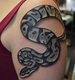 16 Best Python Tattoo Design Ideas - PetPress