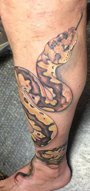 16 Best Python Tattoo Design Ideas - PetPress