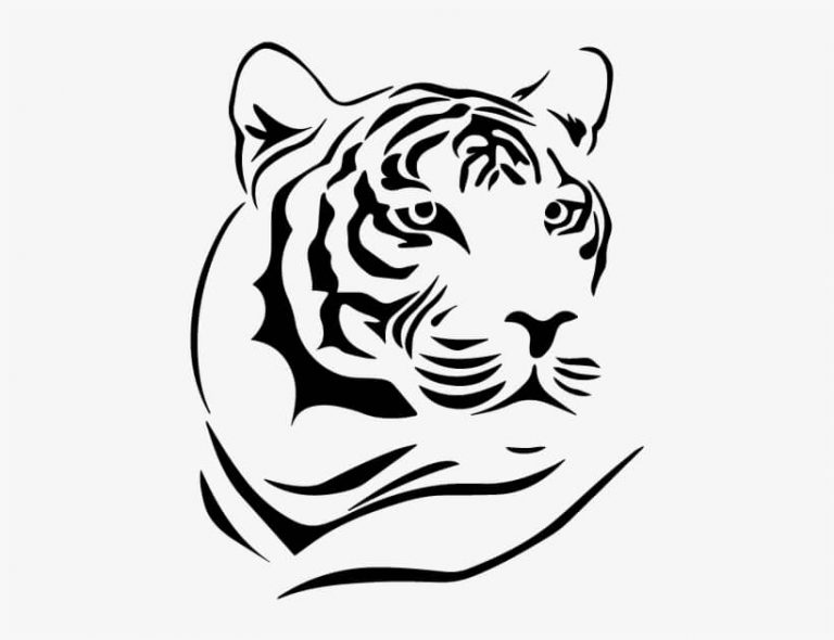 12+ Top Tiger Tattoo Drawings of 2020 | PetPress