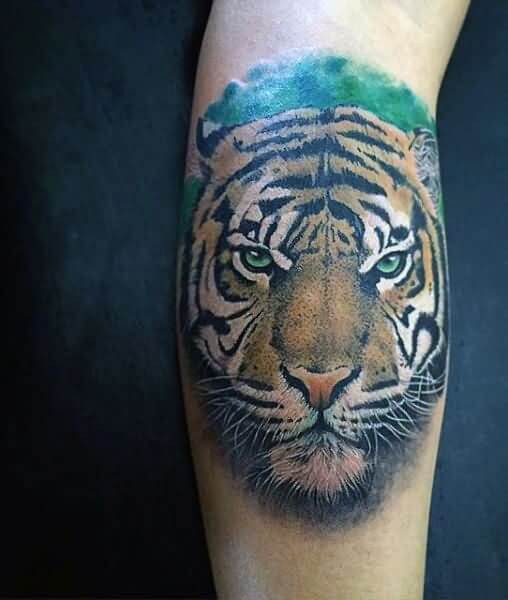 20+ Best Tiger Face Tattoo Designs and Ideas | PetPress