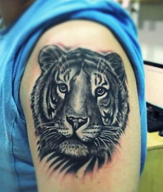 20+ Best Tiger Face Tattoo Designs and Ideas | PetPress