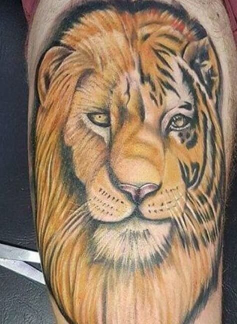 10 Best Half Lion Half Tiger Tattoo Designs Petpress 10 Best Half Lion Half Tiger Tattoo Designs Petpress