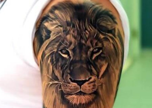 The 12 King Of The Jungle Tattoo Designs Petpress