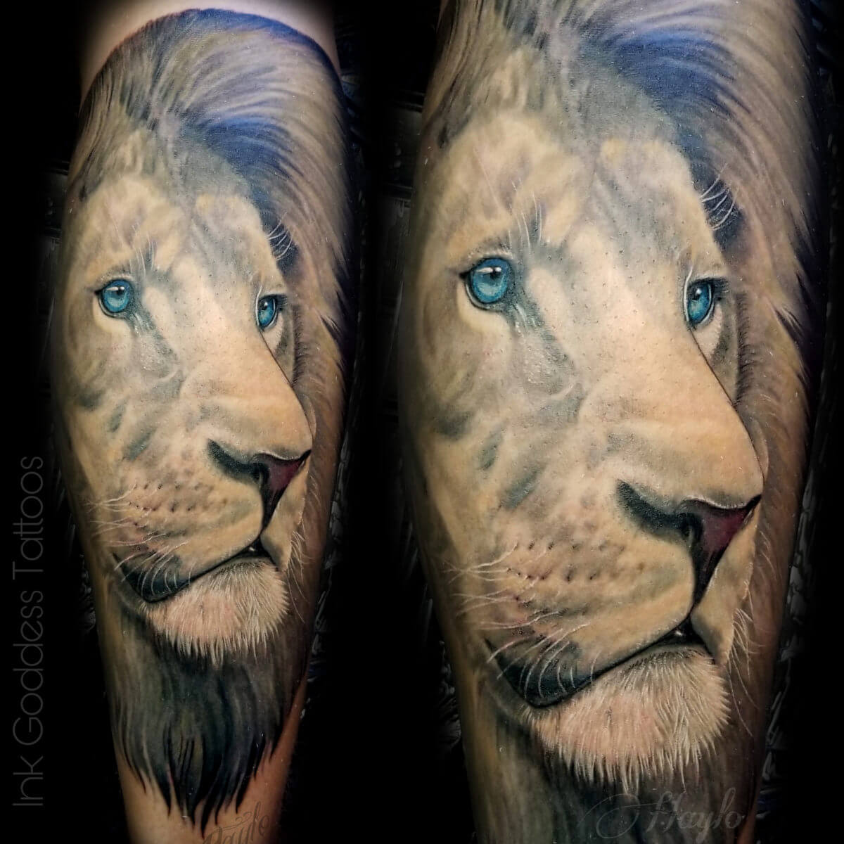 Portrait Lion Tattoos