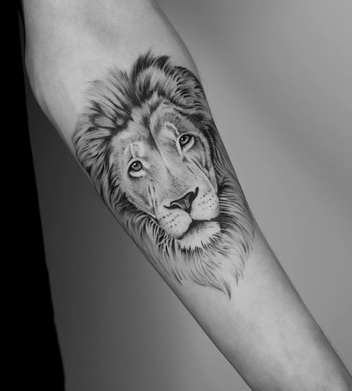 15+ Small Lion Tattoos Tiny Tattoo Designs PetPress