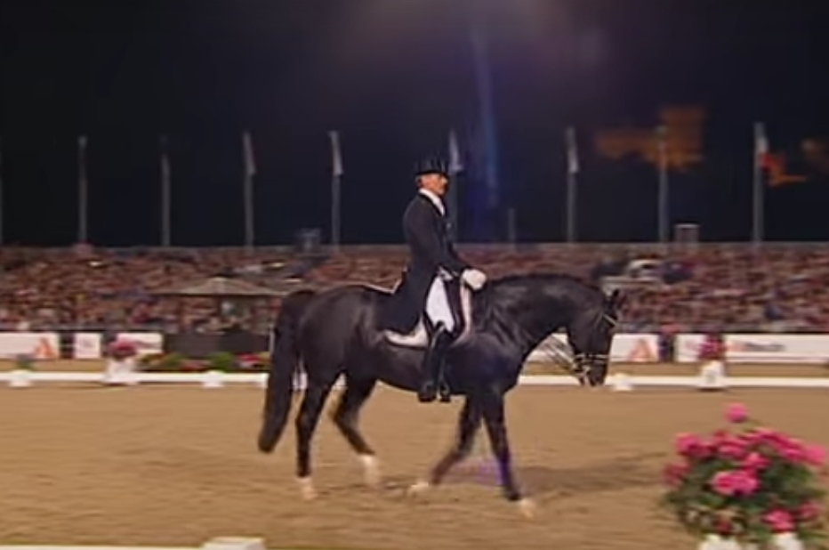 Top 5 Most Expensive Horses Ever PetPress