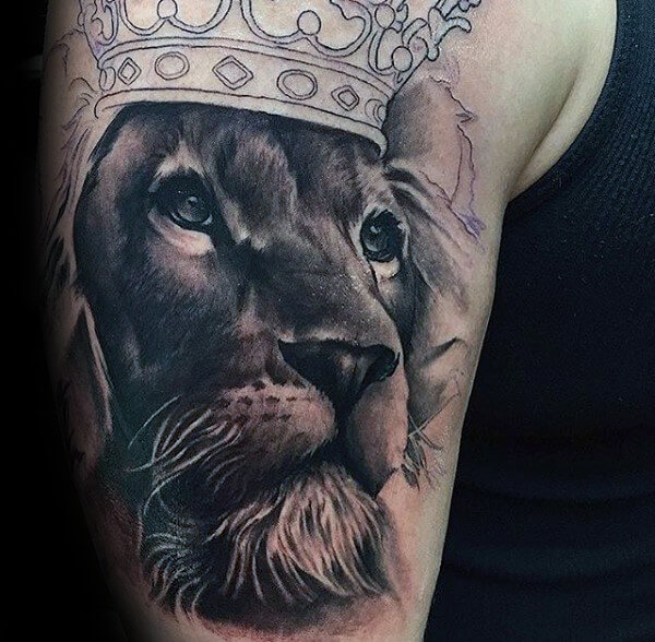 15+ Lion With Crown Tattoo Ideas and Designs PetPress