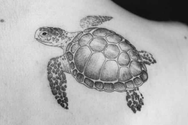 12+ Black and White Sea Turtle Tattoo Designs | PetPress