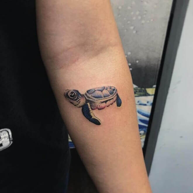 12+ Small Sea Turtle Tattoo Ideas PetPress