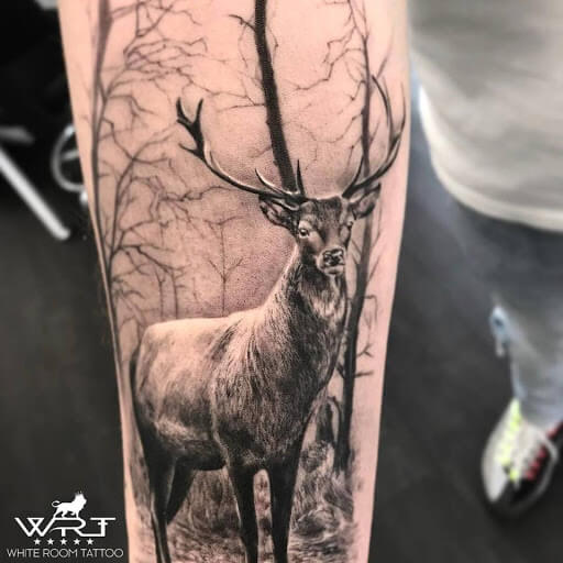 12+ Best White Stag Tattoo Designs PetPress