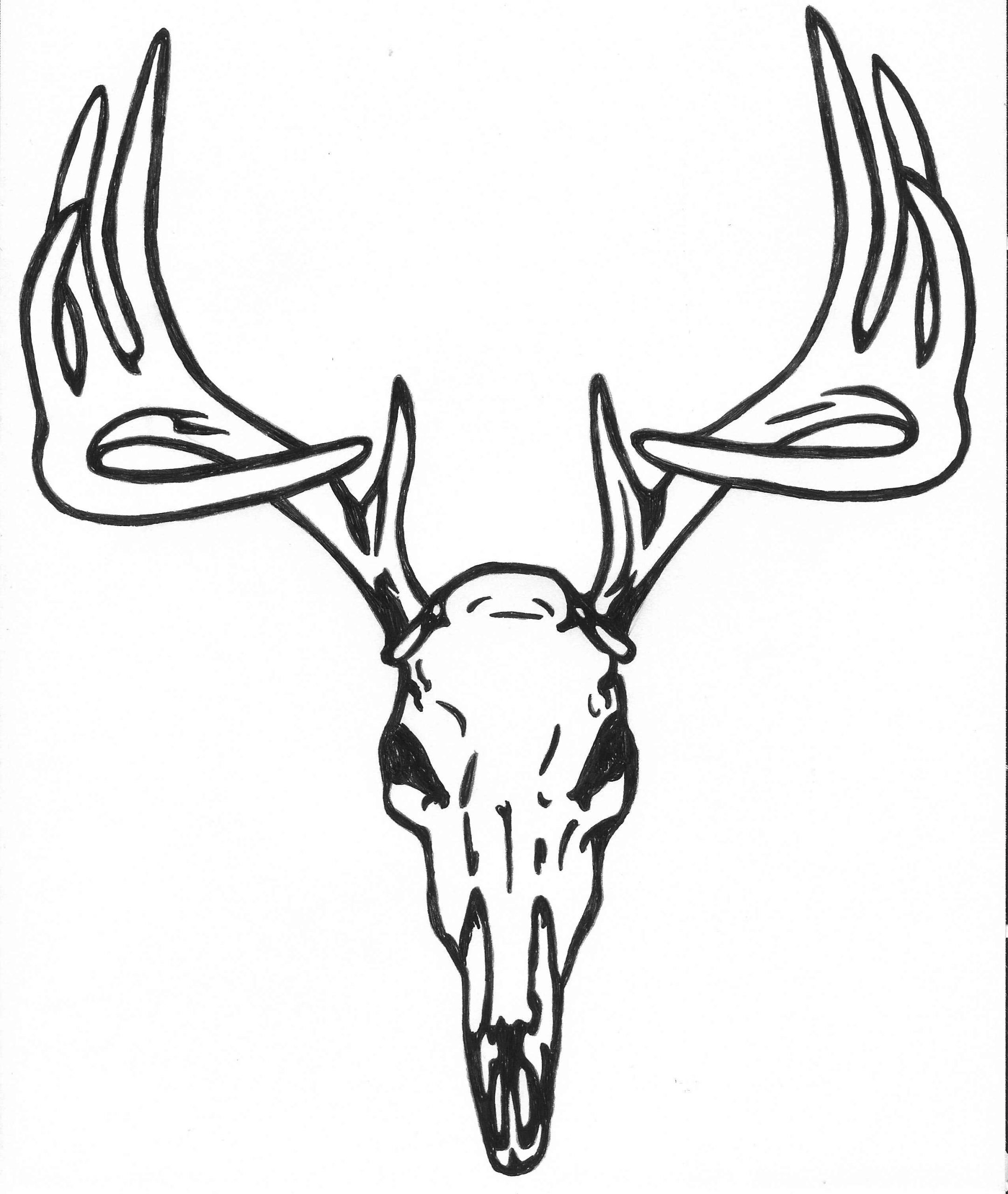 10+ Deer Skull Tattoo Designs On Chest | PetPress