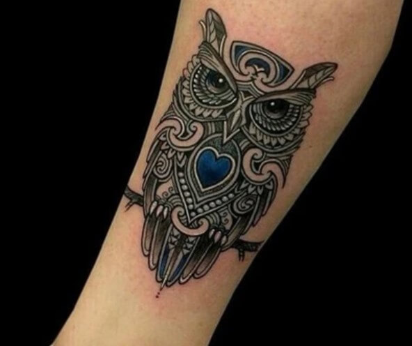 15+ Best Celtic Owl Tattoo Designs | PetPress