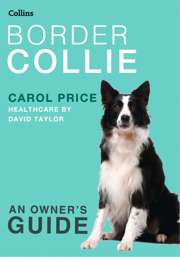 15 Best Books for Border Collie Lovers PetPress