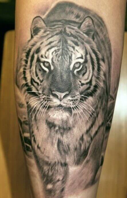 Top 12+ Best Calf Muscle Tattoo Ideas - Tiger Tattoo Designs | PetPress