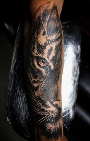 12+ Best Half Tiger Face Tattoo Designs | PetPress