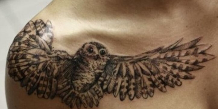 12+ Best Owl Wings Tattoo Ideas | PetPress