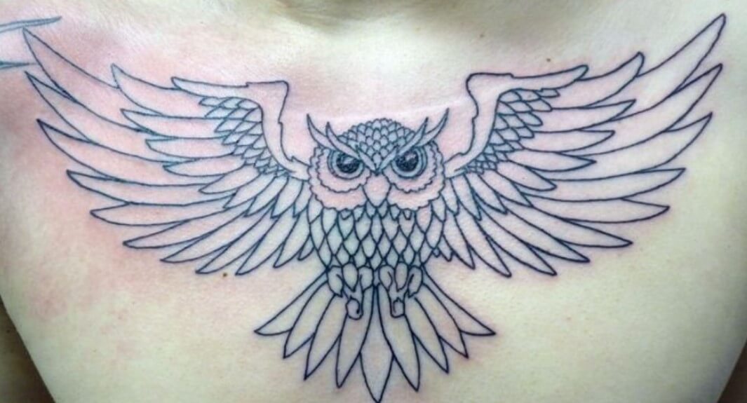 12+ Best Owl Wings Tattoo Ideas | PetPress