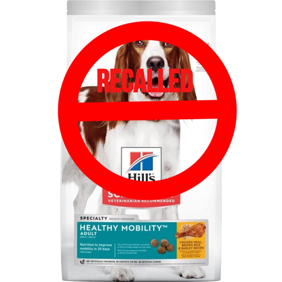 Dog Food On Recall 2024 - Tresa Harriott