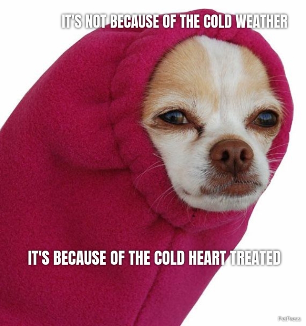 IT'S NOT BECAUSE OF THE COLD WEATHER IT'S BECAUSE OF THE COLD HEART