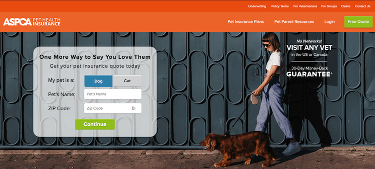 7 Best Insurance Companies For Your Pet Petpress