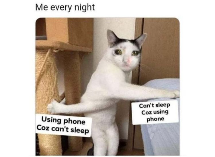 Top 10 Crying Cat Memes That Will Make You Go Awwww Top 10 Crying Cat Memes That Will Make You Go Awwww