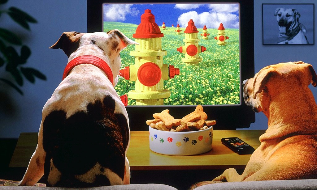 10+ Best Dog Christmas Movies | PetPress