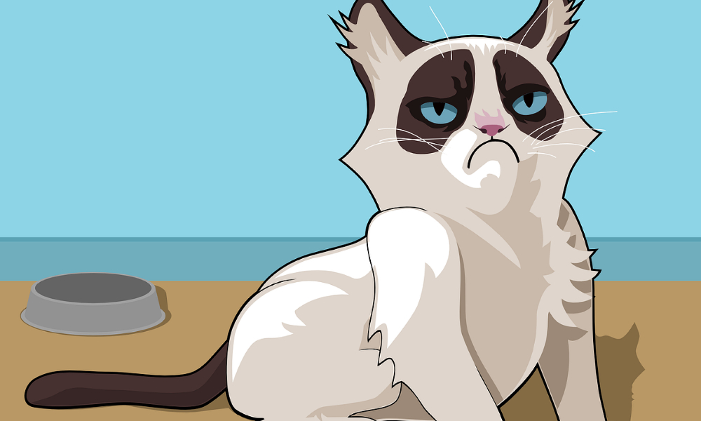 What Is Your Spirit Animal Take The Quiz To Find Out Petpress