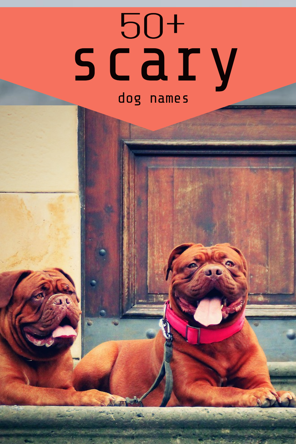 50 Scary Dog Names PetPress