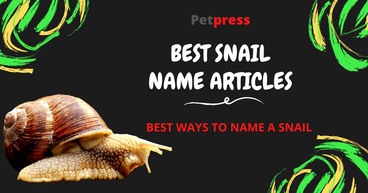 Best Ways To Name A Pet Snail Good, Funny, & Famous Snail Names