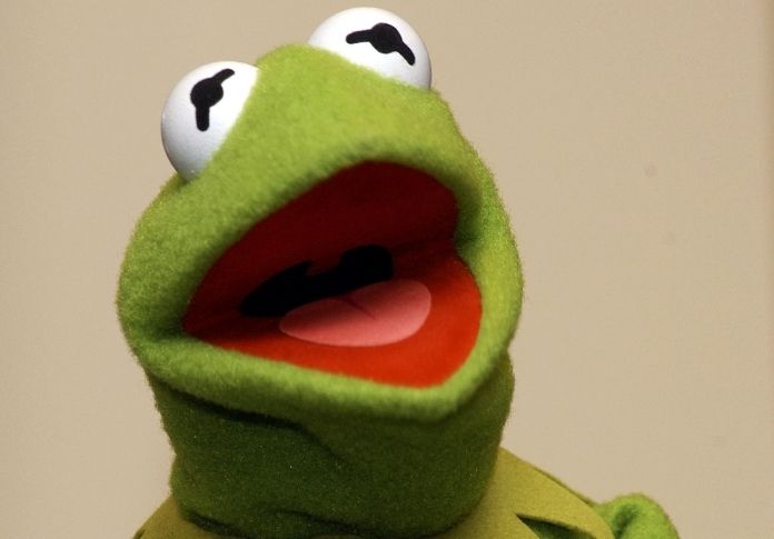 Famous Frog Names 50 Famous Names For Naming A Frog PetPress