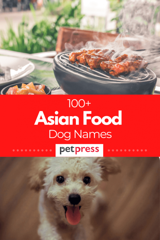 100+ Yummy And Delicious Asian Food Dog Names